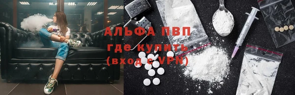 сатива Алзамай